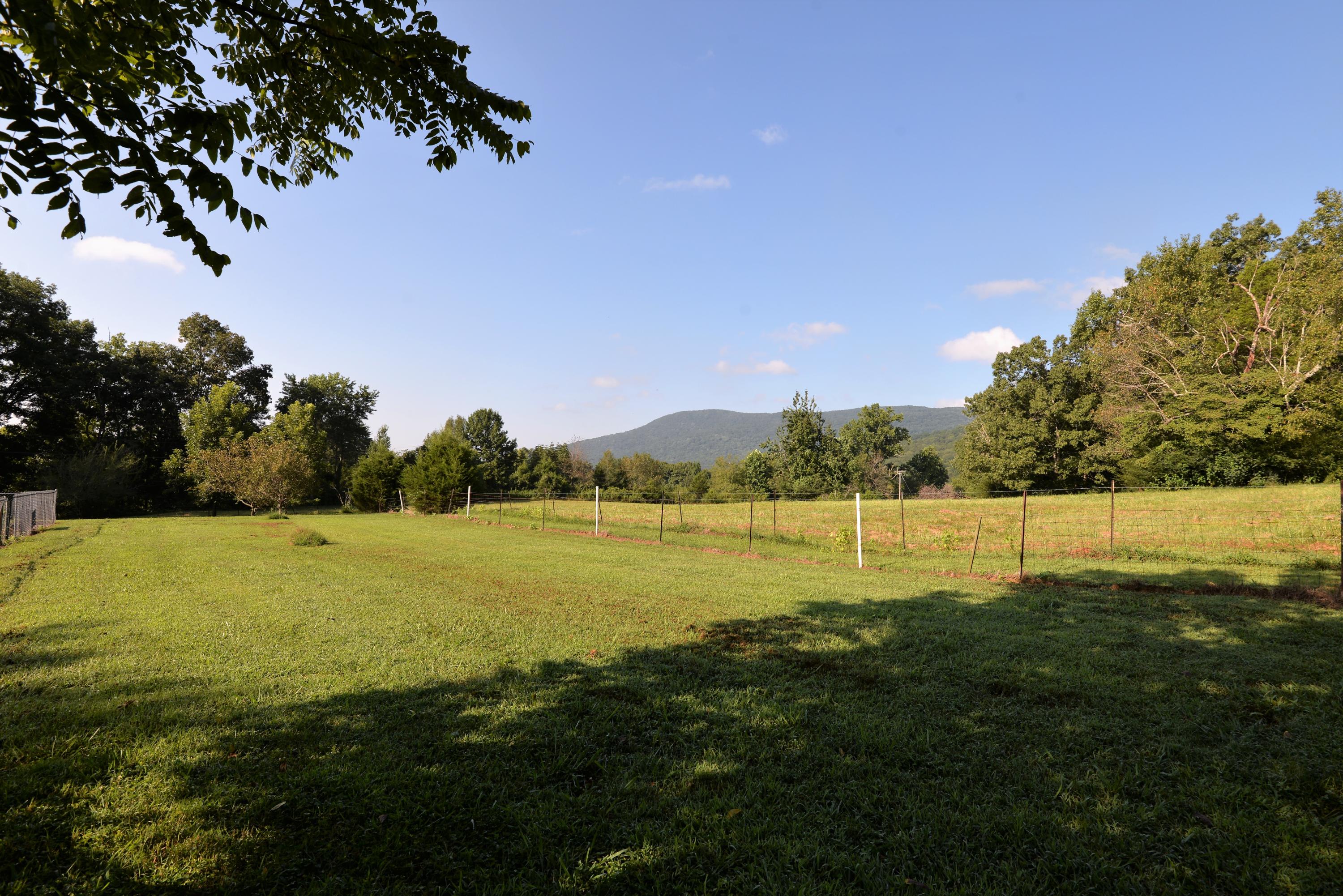 46 Blue Hole Road LaFayette, GA 30728 - Photo 49 of 60 Back field and mountain view
