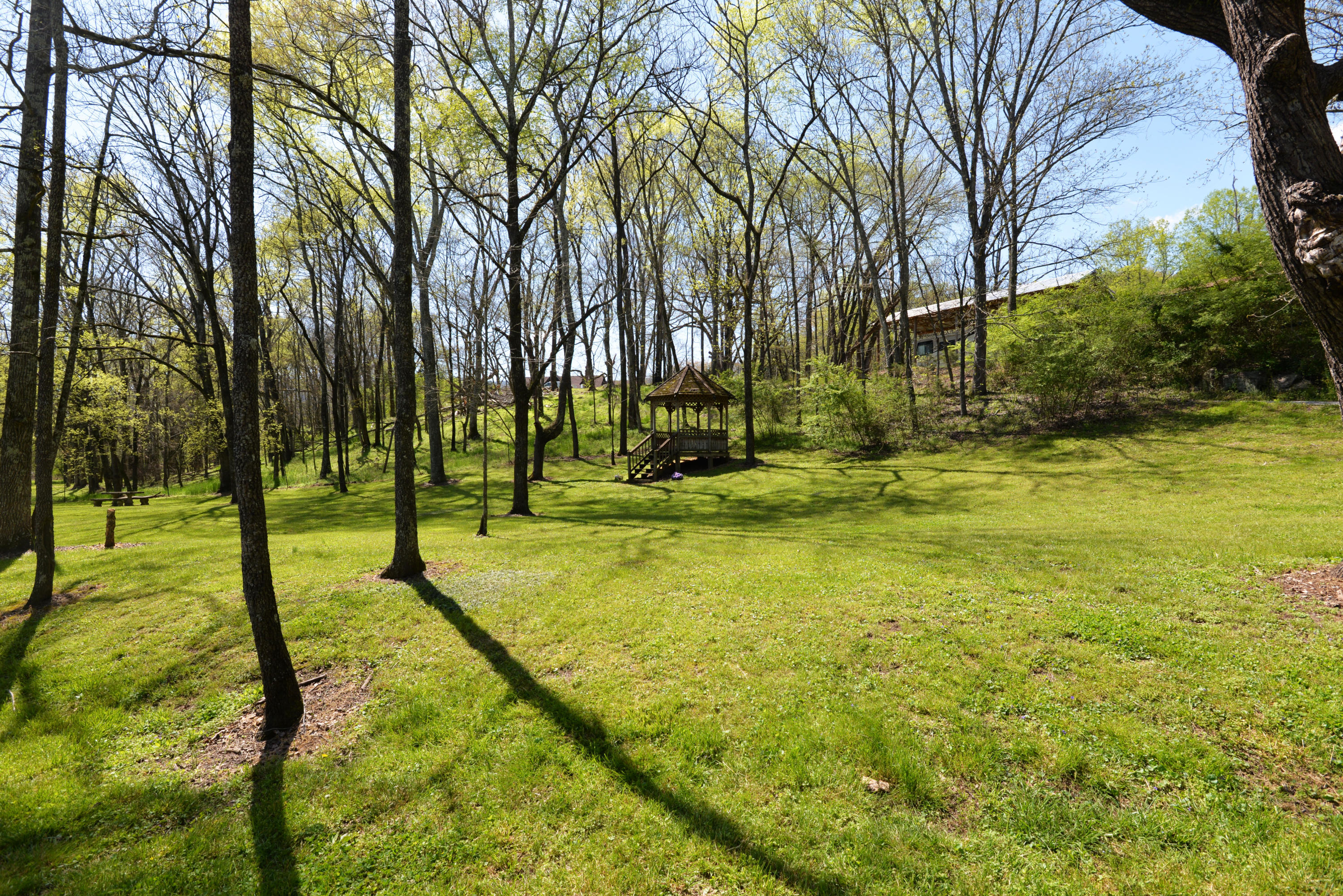 46 Blue Hole Road LaFayette, GA 30728 - Photo 54 of 60 Lower front fields view 1