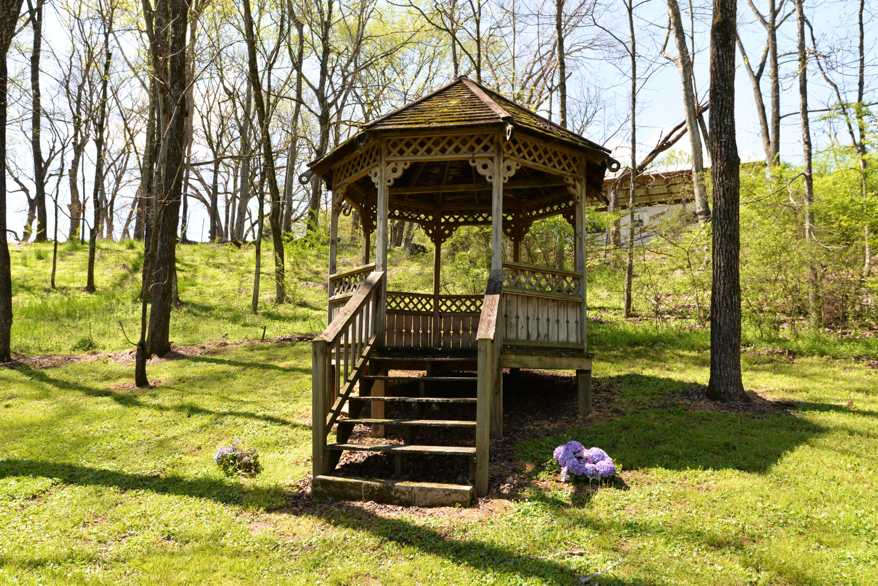 46 Blue Hole Road LaFayette, GA 30728 - Photo 55 of 60 Lower front field gazebo