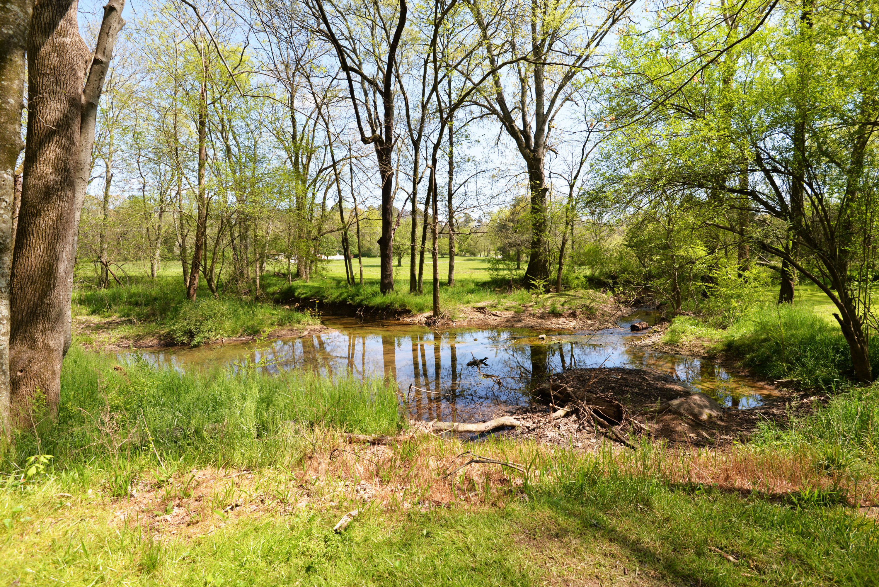 46 Blue Hole Road LaFayette, GA 30728 - Photo 58 of 60 DSC_6762(1)