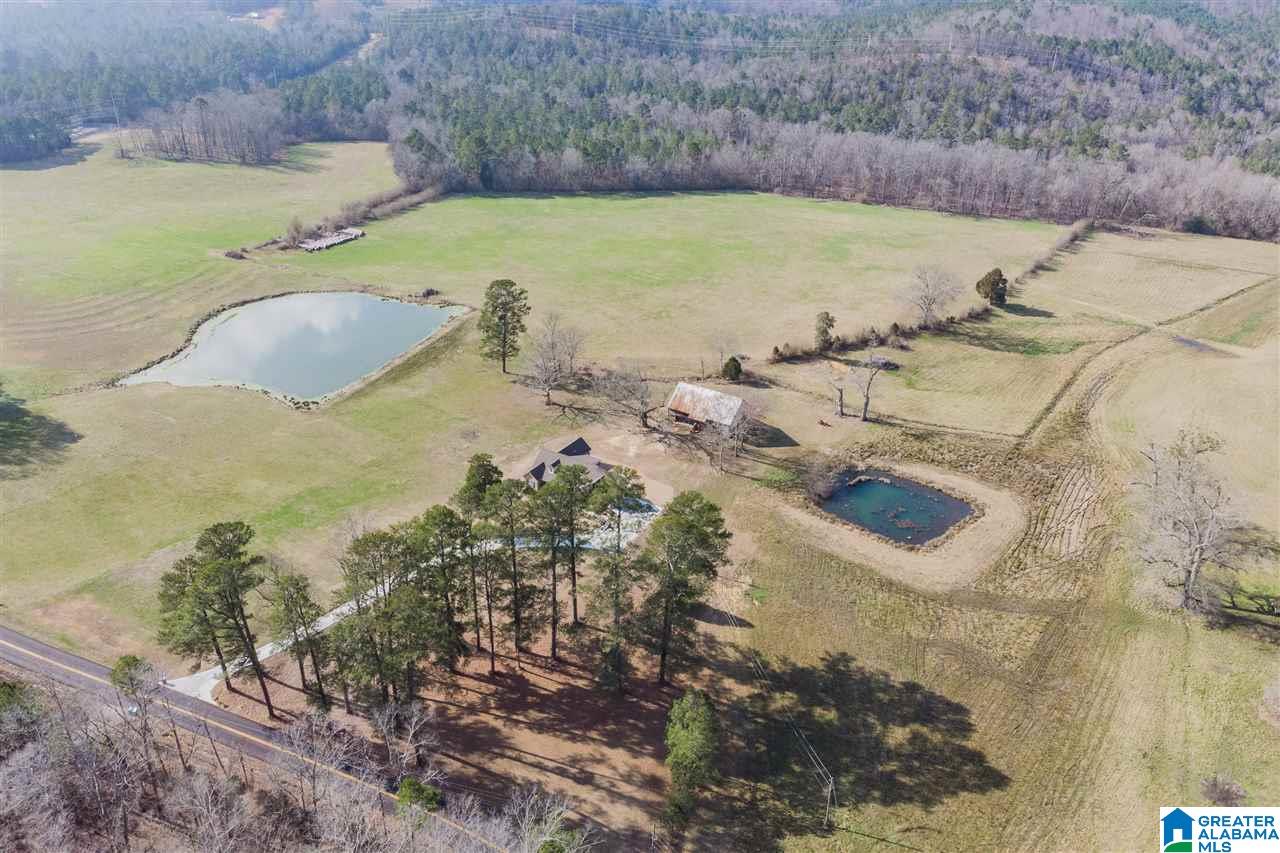 3484 Springville Boulevard Oneonta, AL 35121 - Photo 45 of 49