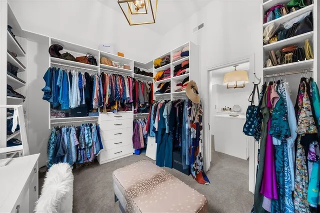 a view of a yard with plants and trees