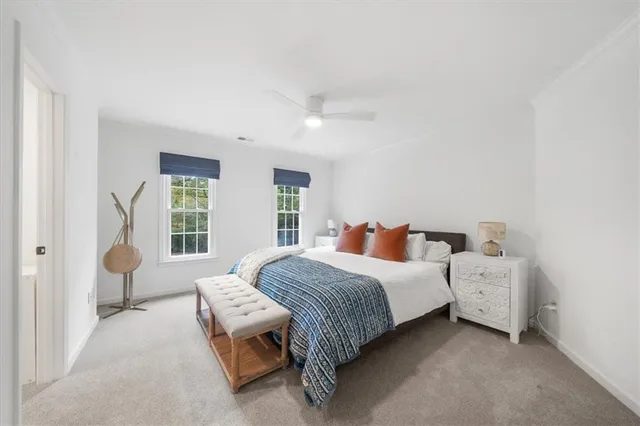 a view of a pathway both side of yard