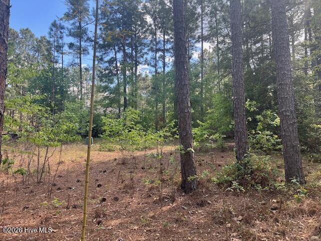 212 Skyline Manor Road Southern Pines, NC 28387 - Photo 2 of 29 IMG_8367