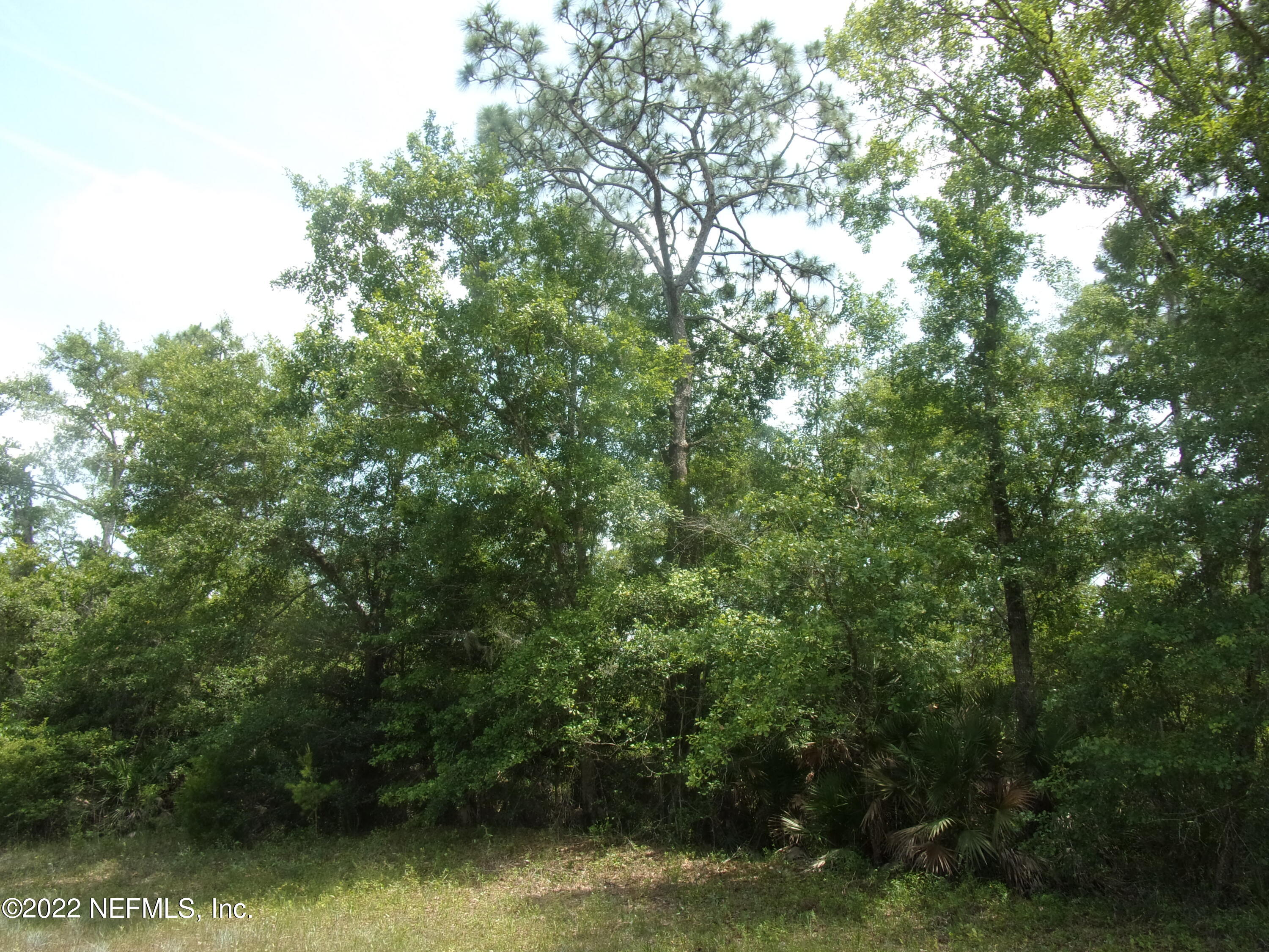 222 Comer Road Palatka, FL 32177 - Photo 1 of 25 005 - Copy