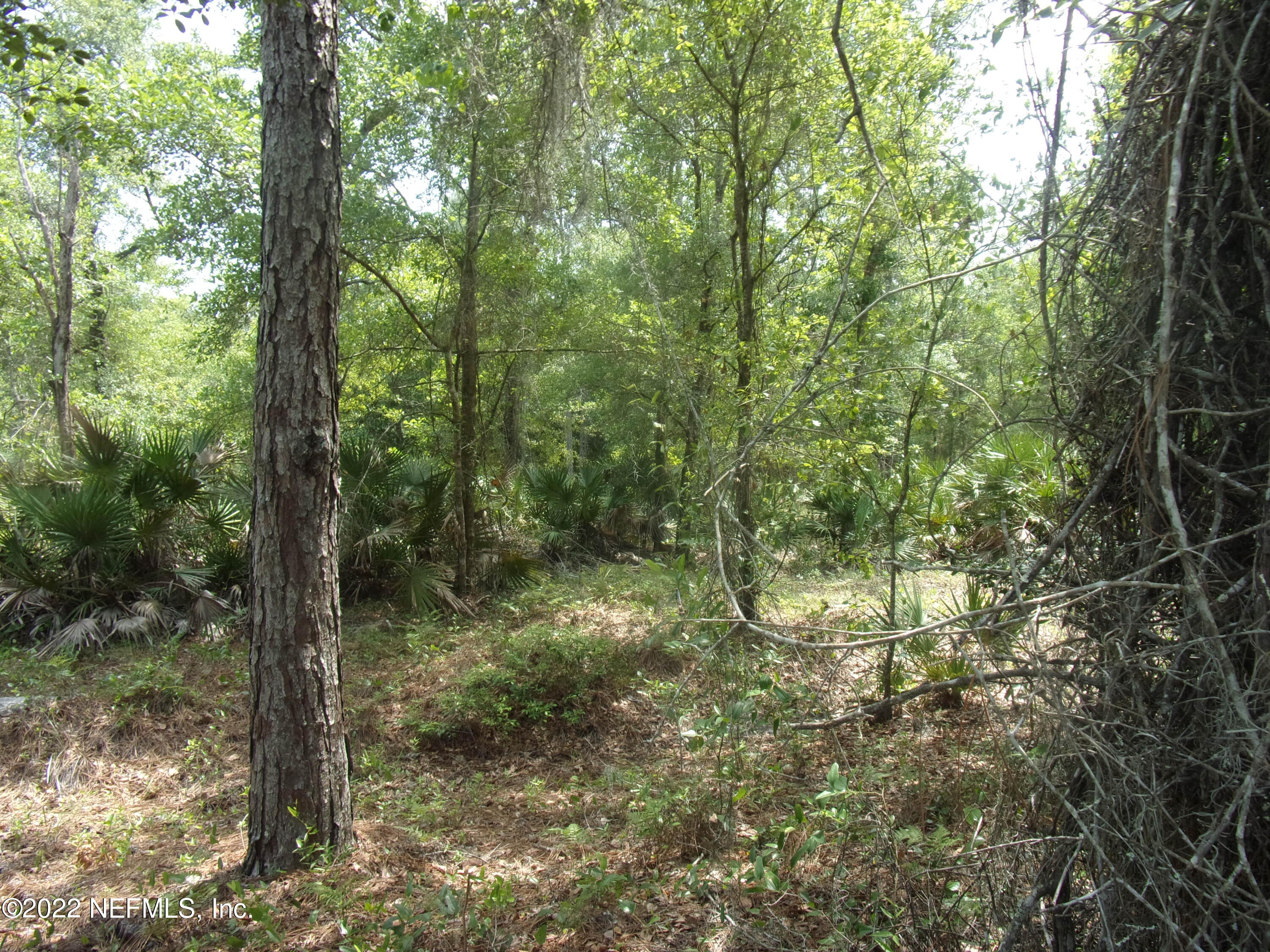 222 Comer Road Palatka, FL 32177 - Photo 19 of 25 012 - Copy