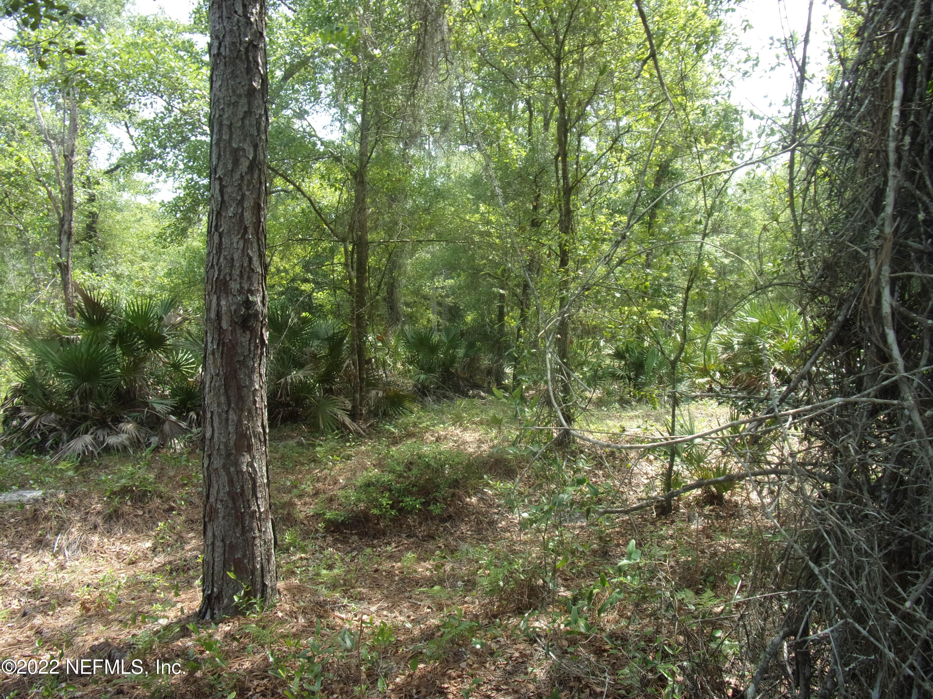 222 Comer Road Palatka, FL 32177 - Photo 20 of 25 013 - Copy