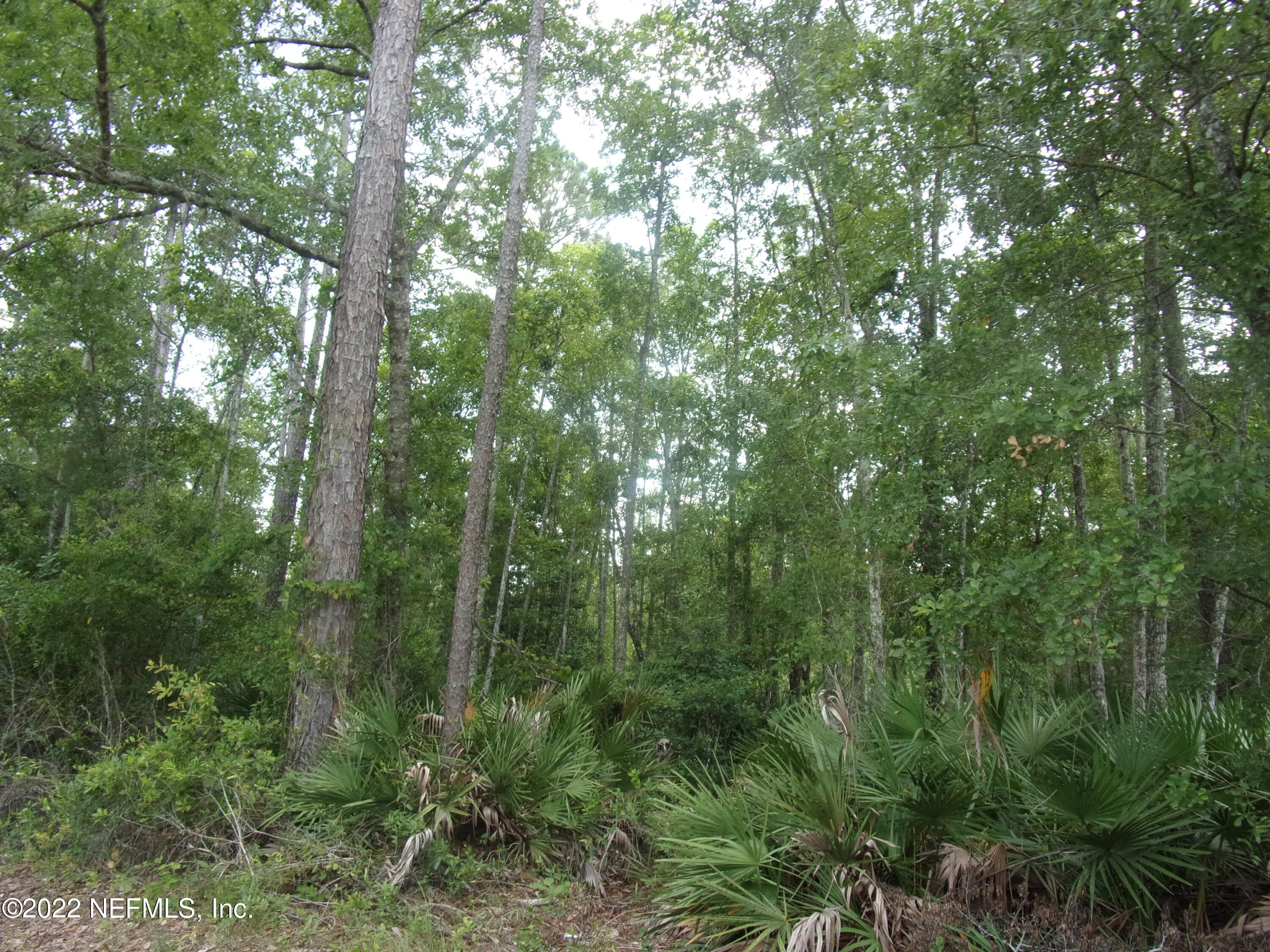 222 Comer Road Palatka, FL 32177 - Photo 24 of 25 018