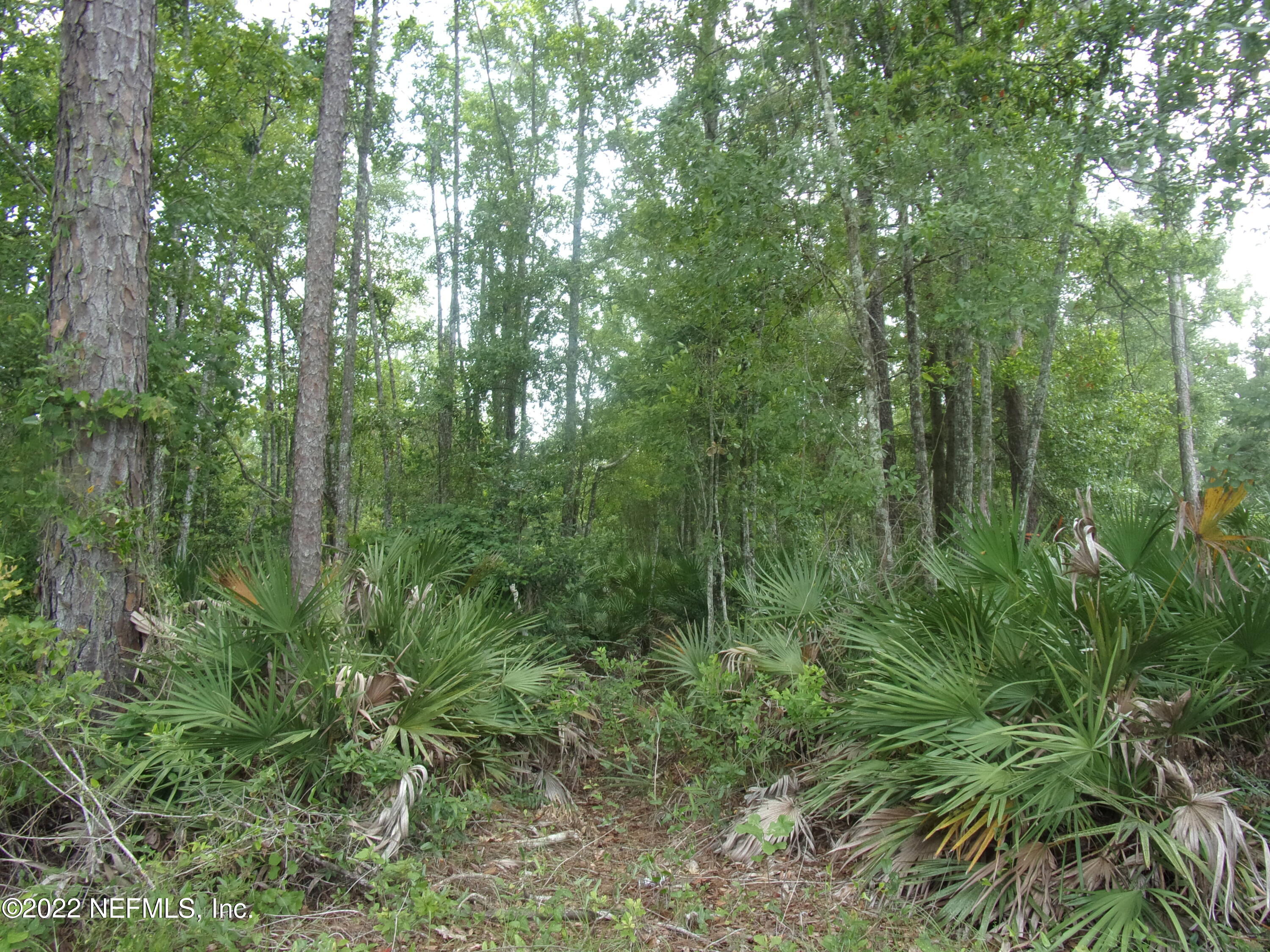 222 Comer Road Palatka, FL 32177 - Photo 25 of 25 019