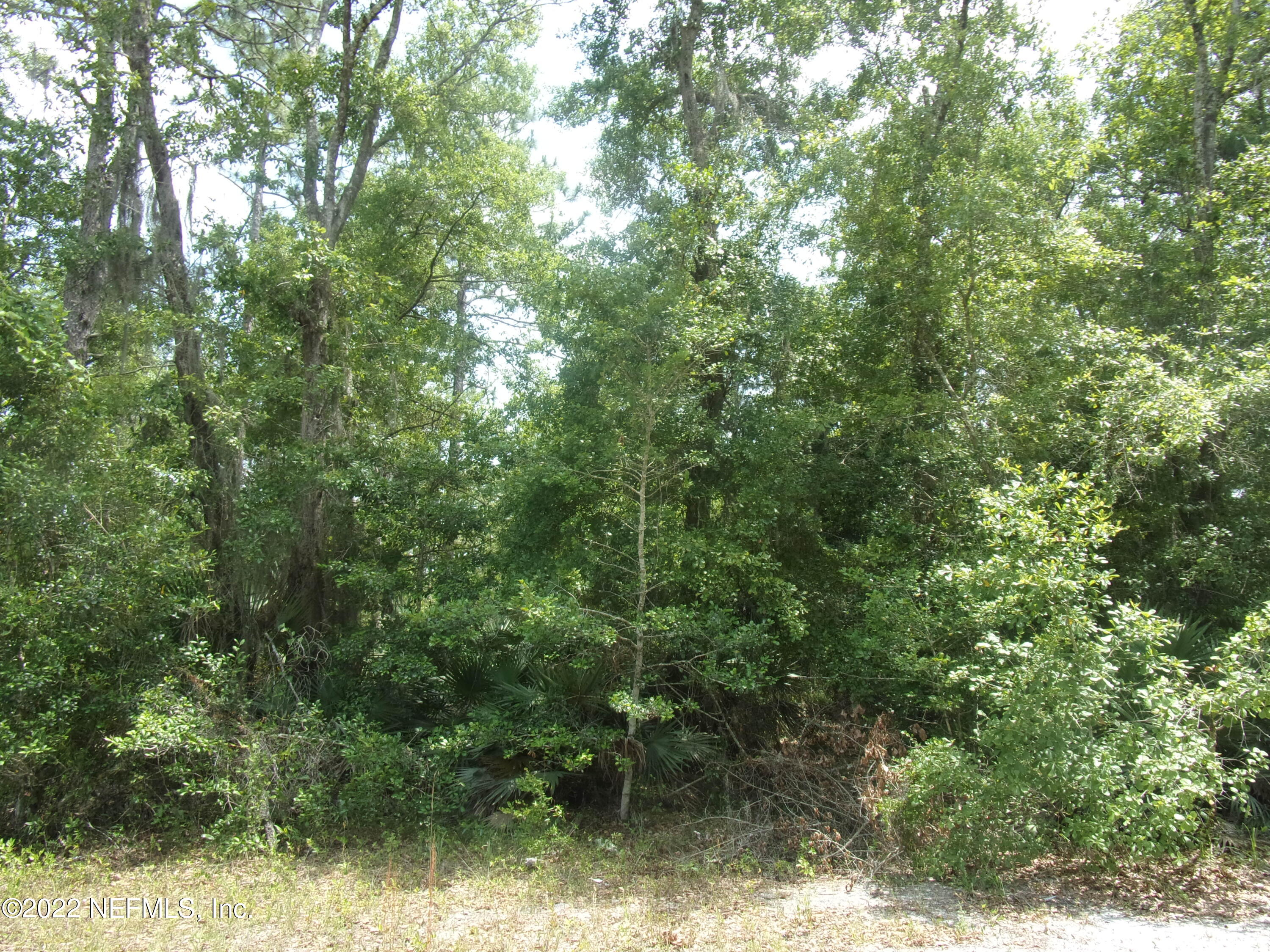 222 Comer Road Palatka, FL 32177 - Photo 4 of 25 002 - Copy - Copy