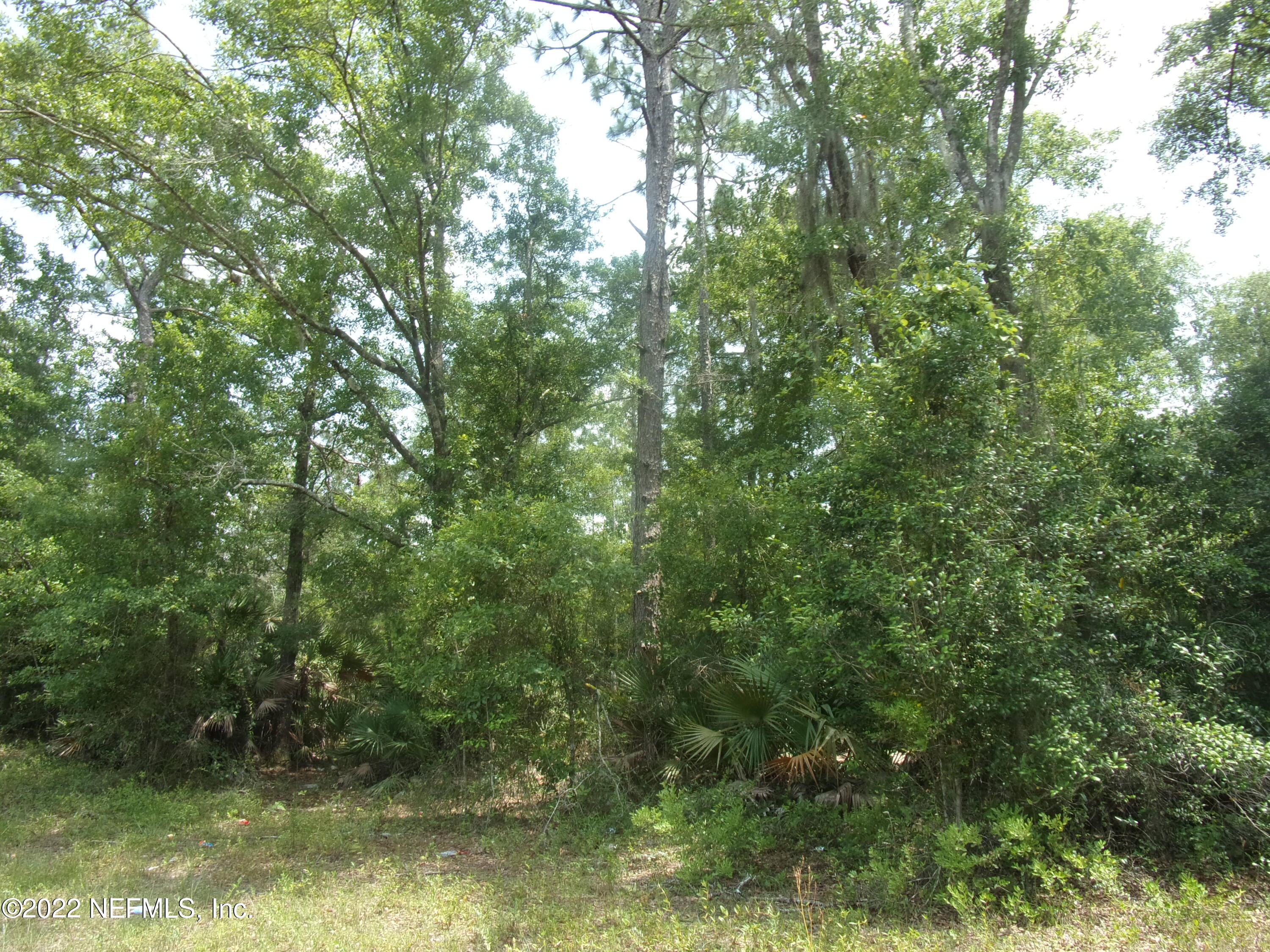 222 Comer Road Palatka, FL 32177 - Photo 5 of 25 003 - Copy - Copy
