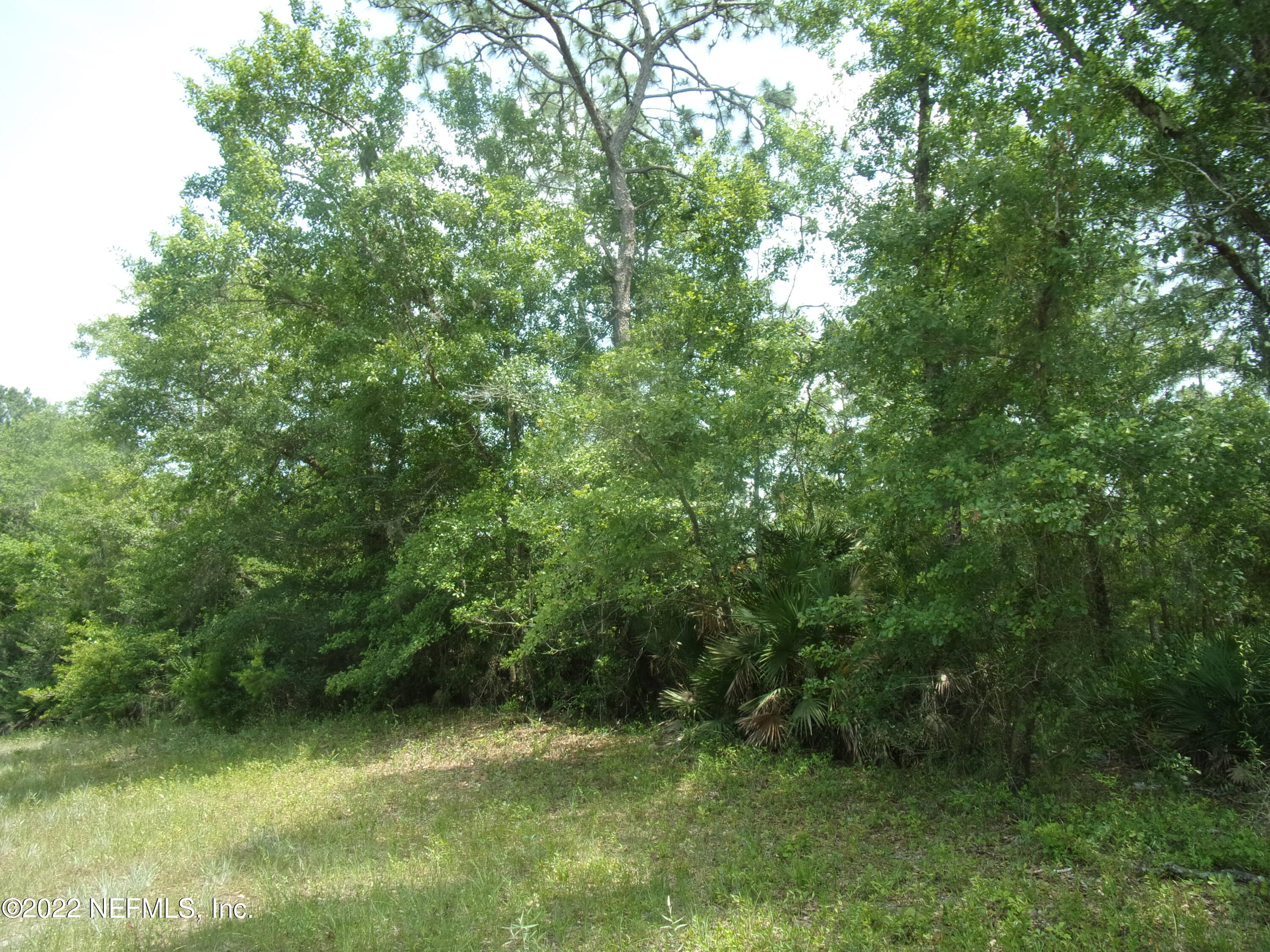 222 Comer Road Palatka, FL 32177 - Photo 6 of 25 004 - Copy - Copy