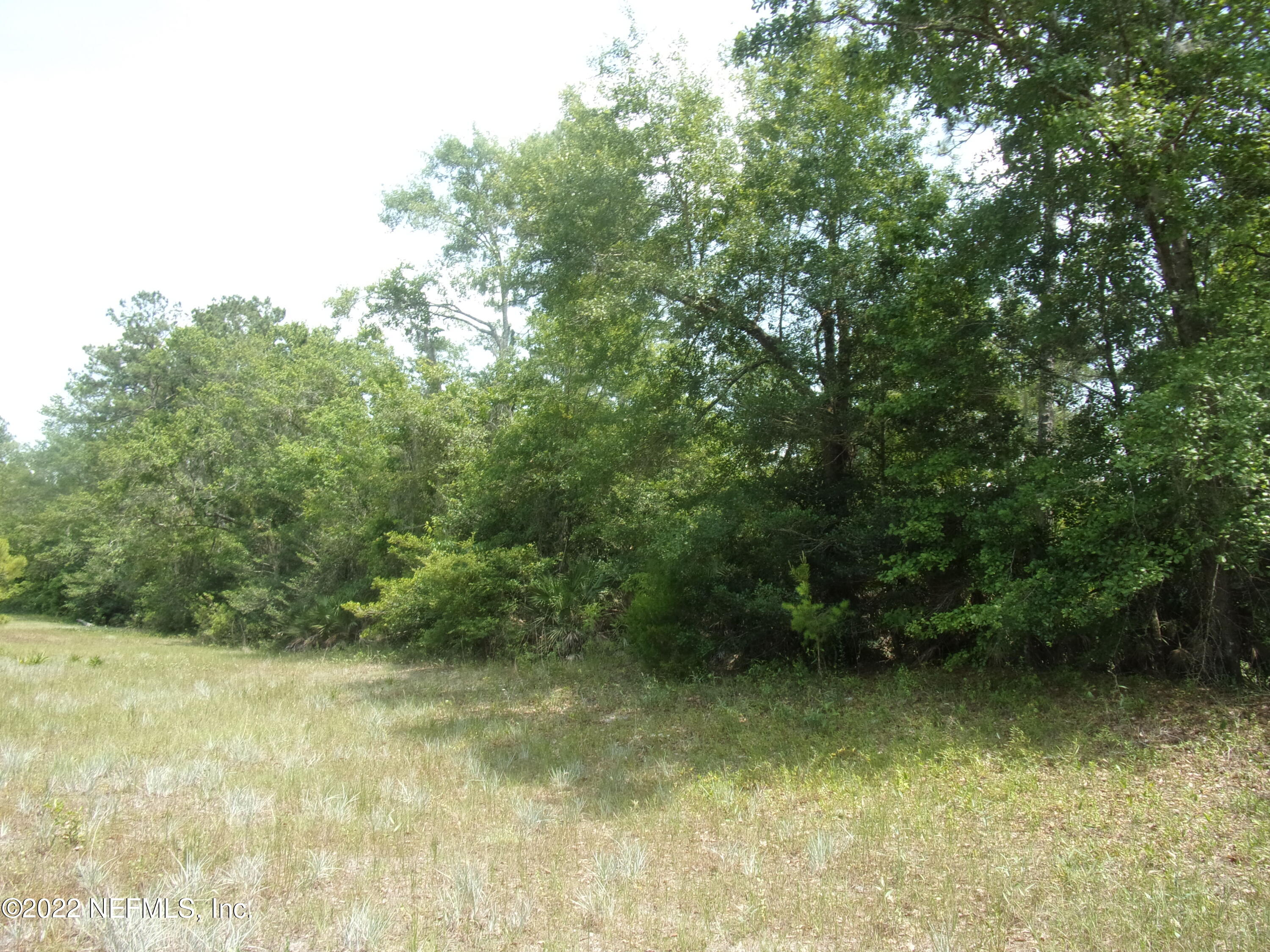 222 Comer Road Palatka, FL 32177 - Photo 8 of 25 007 - Copy