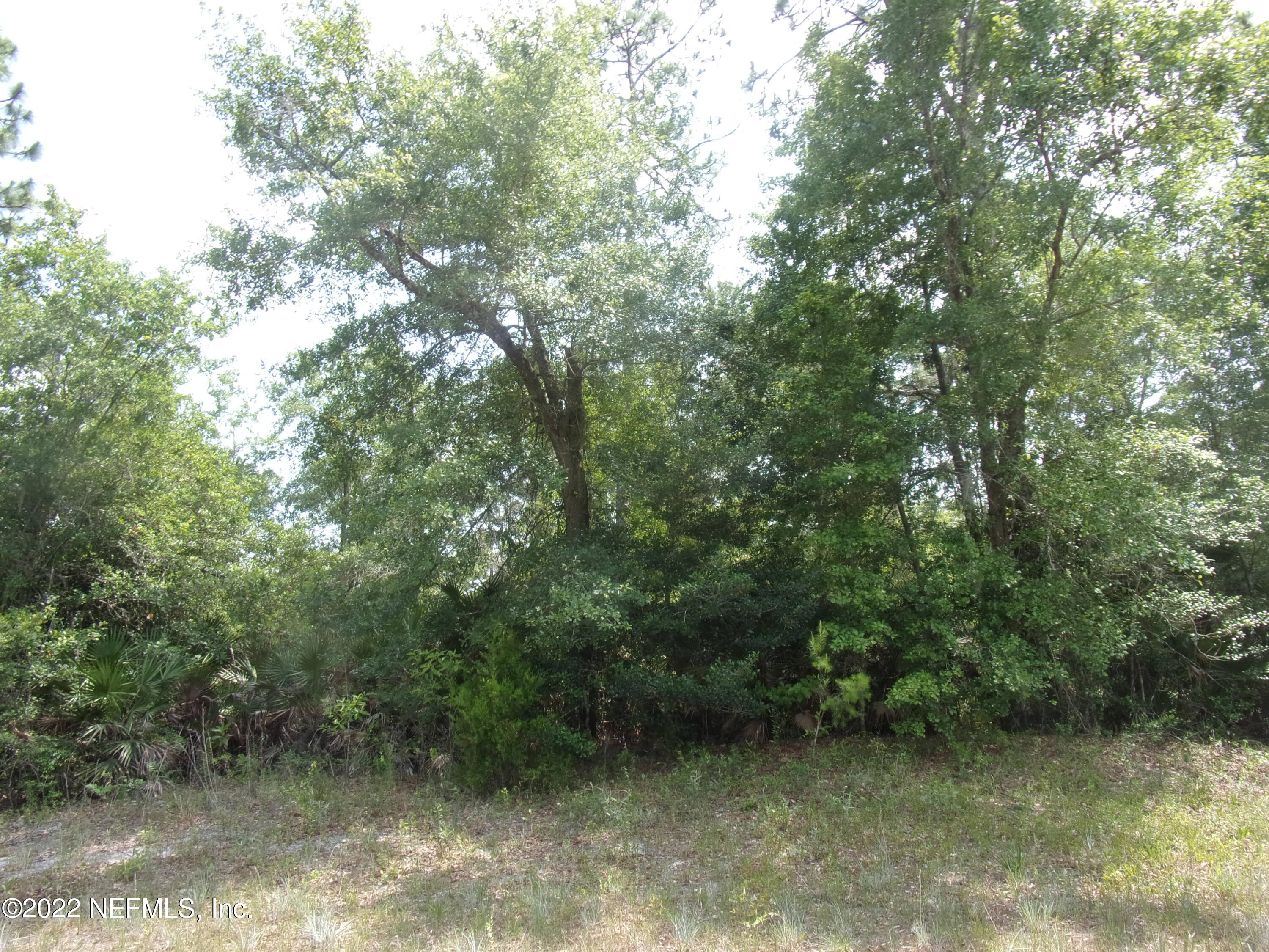 222 Comer Road Palatka, FL 32177 - Photo 9 of 25 008 - Copy