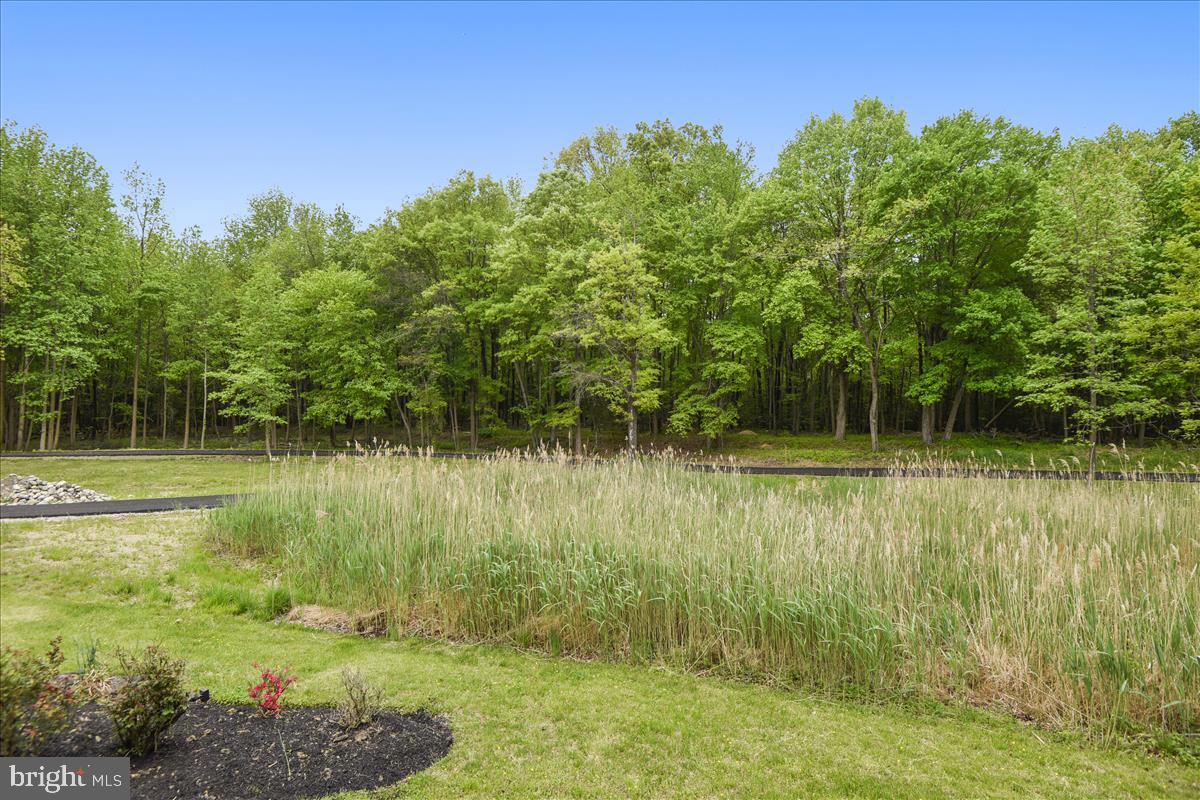 1315 South Seneca Road Baltimore, MD 21220 - Photo 74 of 84 View 20 Acre Grounds