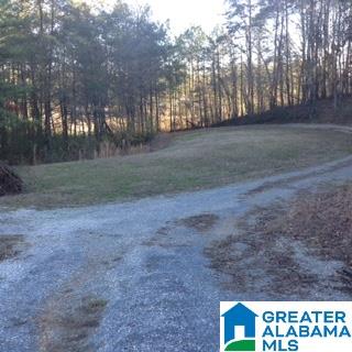 2045 Roberts Mill Pond Road Pell City, AL 35128 - Photo 3 of 4