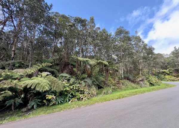 $89,500 | 11-3839 Lot 394 4th Street, Volcano, HI 96785