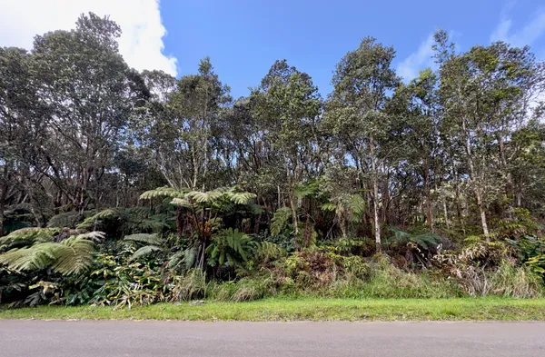 $89,500 | 11-3839 Lot 394 4th Street, Volcano, HI 96785