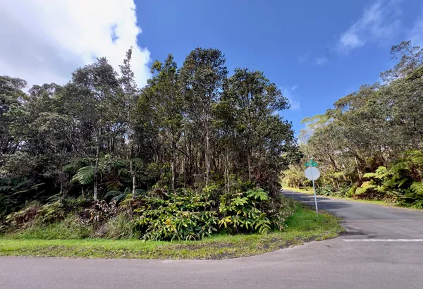$89,500 | 11-3839 Lot 394 4th Street, Volcano, HI 96785