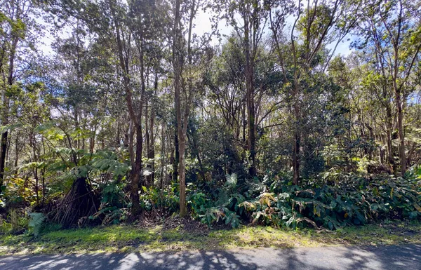$89,500 | 11-3839 Lot 394 4th Street, Volcano, HI 96785