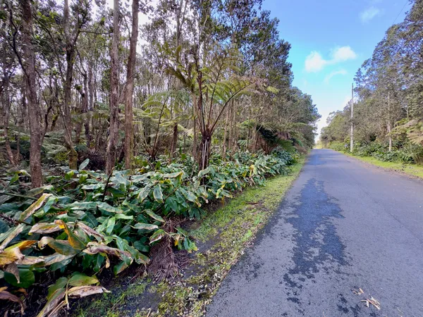 $89,500 | 11-3839 Lot 394 4th Street, Volcano, HI 96785
