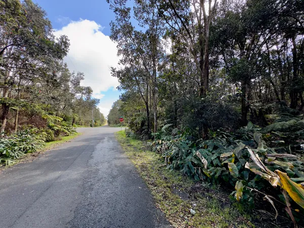 $89,500 | 11-3839 Lot 394 4th Street, Volcano, HI 96785