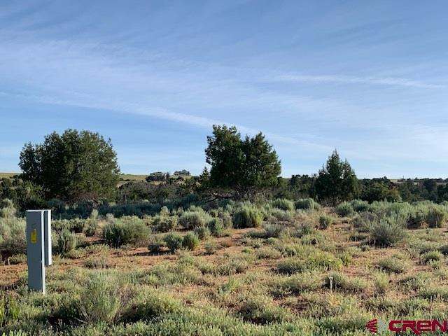 Lot 3 26th Road Dolores, CO 81323 - Photo 1 of 11 Gallery Image 1