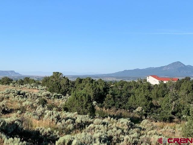 Lot 3 26th Road Dolores, CO 81323 - Photo 2 of 11 Gallery Image 2