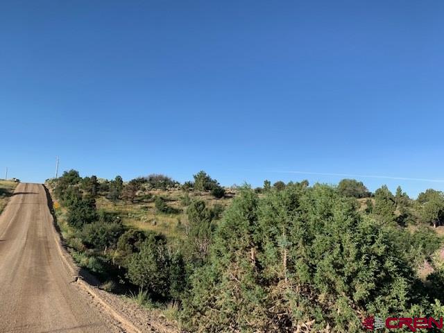 Lot 3 26th Road Dolores, CO 81323 - Photo 4 of 11 Gallery Image 4