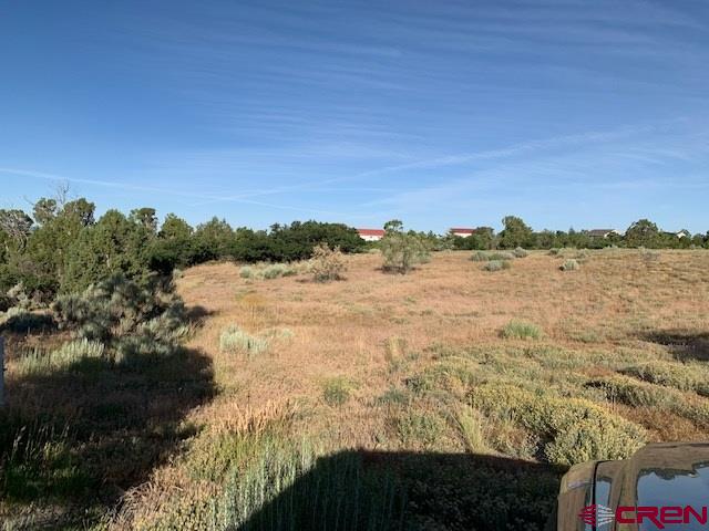 Lot 3 26th Road Dolores, CO 81323 - Photo 5 of 11 Gallery Image 5