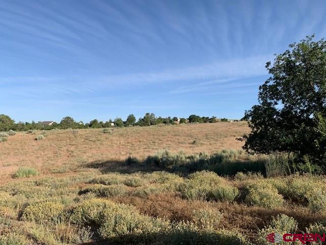Lot 3 26th Road Dolores, CO 81323 - Photo 6 of 11 Gallery Image 6