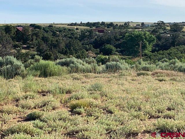 Lot 3 26th Road Dolores, CO 81323 - Photo 7 of 11 Gallery Image 7