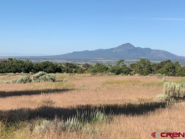 Lot 3 26th Road Dolores, CO 81323 - Photo 8 of 11 Gallery Image 8