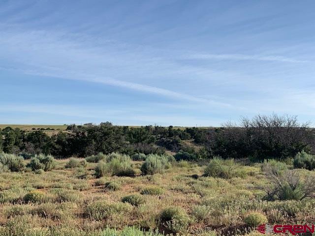 Lot 3 26th Road Dolores, CO 81323 - Photo 10 of 11 Gallery Image 10
