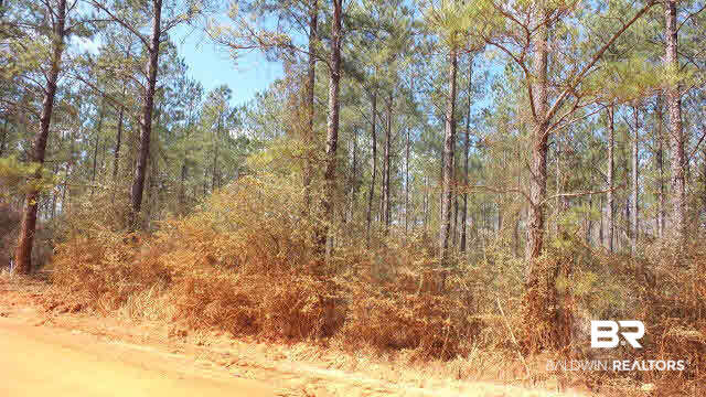 42 Ten Mile Road Pensacola, FL 32534 - Photo 28 of 32 Gallery Image 28