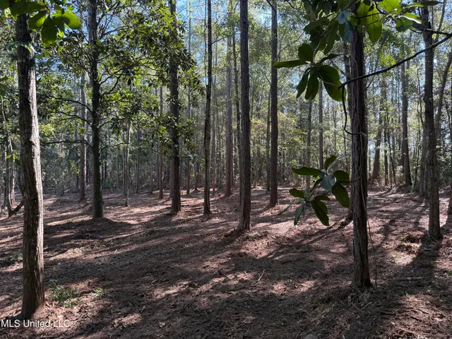 $1,500,000 | 1208 De La Pointe Drive, Gautier, MS 39553