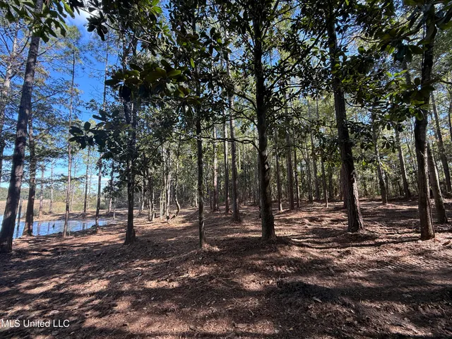 $1,500,000 | 1208 De La Pointe Drive, Gautier, MS 39553