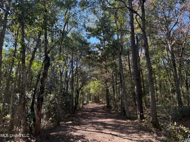 $1,500,000 | 1208 De La Pointe Drive, Gautier, MS 39553