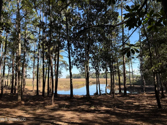 $1,500,000 | 1208 De La Pointe Drive, Gautier, MS 39553