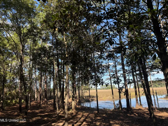 $1,500,000 | 1208 De La Pointe Drive, Gautier, MS 39553