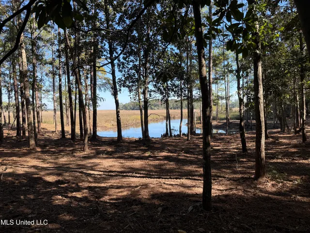 $1,500,000 | 1208 De La Pointe Drive, Gautier, MS 39553