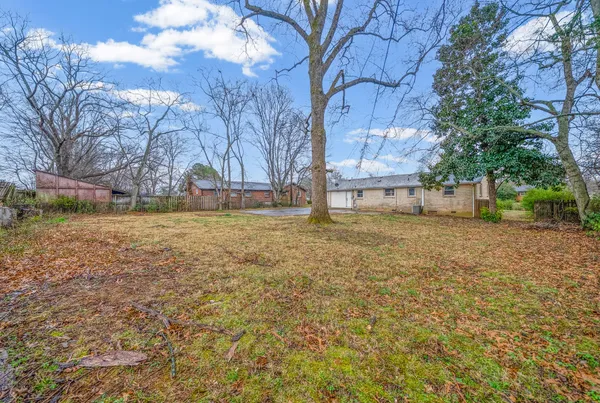 a view of a yard with large trees