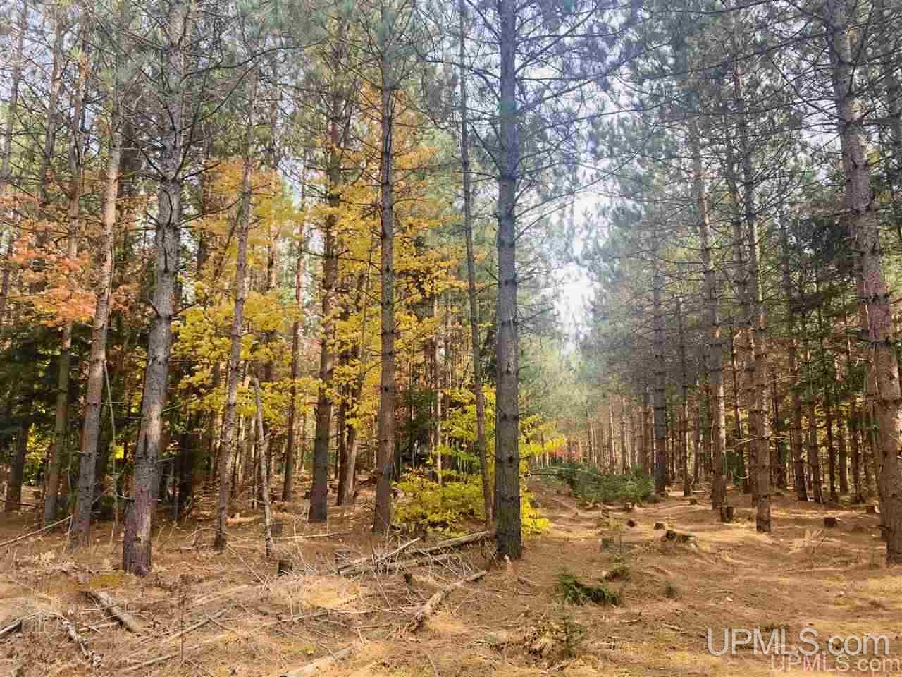 Tbd Off Of Flodin Road Garden, MI 49835 - Photo 11 of 13