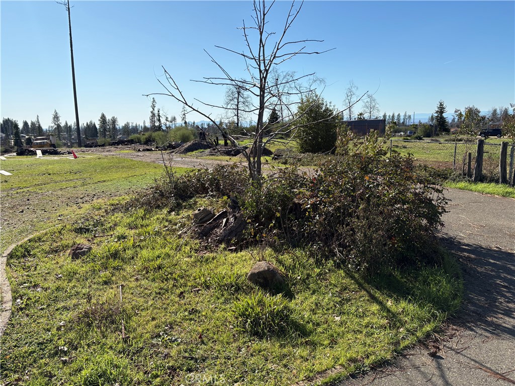 706 Bille Road Paradise, CA 95969 - Photo 4 of 5 a view of a garden with a lake