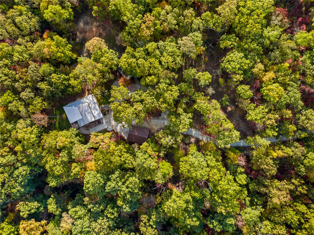 283 Cassidy Bridge Road Mountain Rest, SC 29664 - Photo 48 of 49