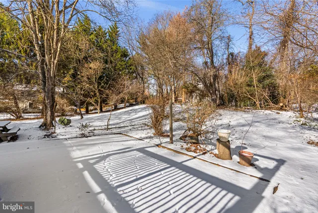 a picture of street with trees