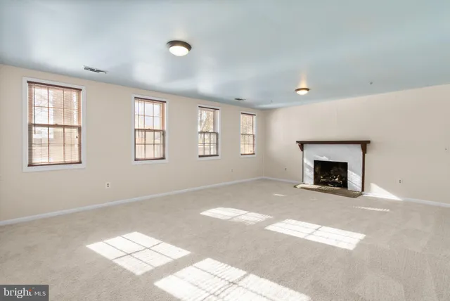 a view of empty space with large trees