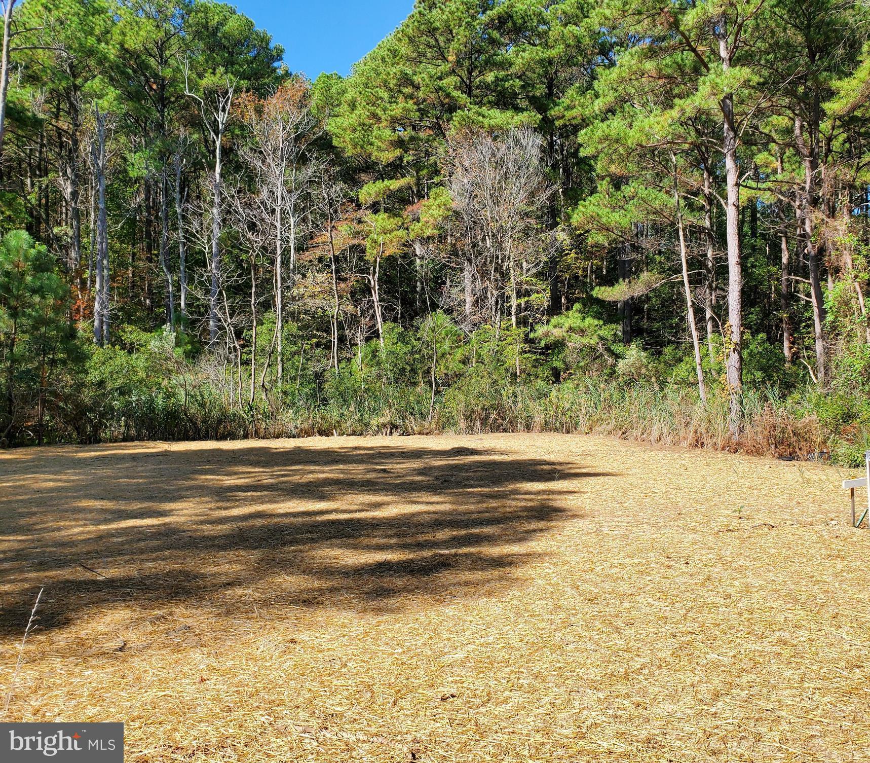123 Cecil Road Stevensville, MD 21666 - Photo 1 of 2 LOT 40 CECIL ROAD