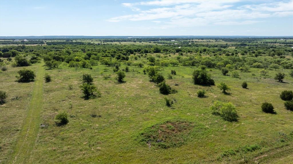1032 Goodnight Trail Perrin, TX 76486 - Photo 10 of 18