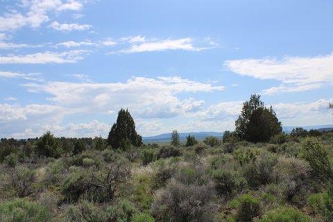 Deer Springs Road Beatty, OR 97621 - Photo 6 of 13 IMG_2559